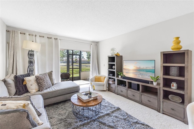 carpeted living room with a textured ceiling