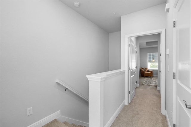 845 Burlington Ave N, Saint Petersburg, FL 33701 - photo 21