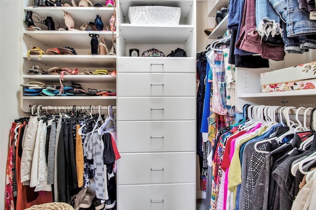 view of spacious closet