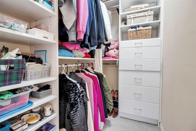 walk in closet with carpet floors