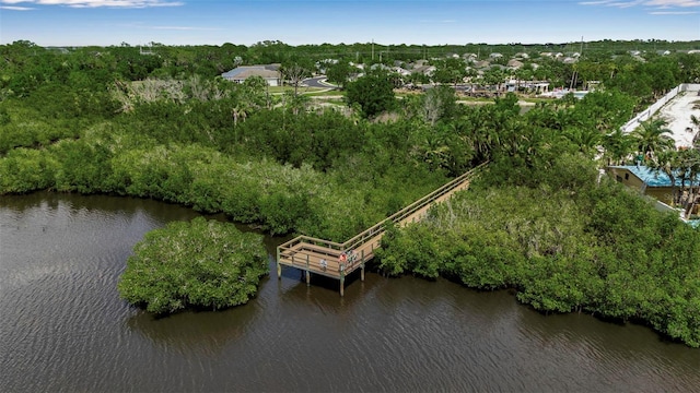 aerial view of a nearby body of water