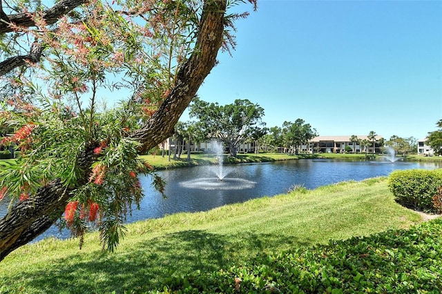 water view