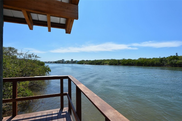 dock area with a water view