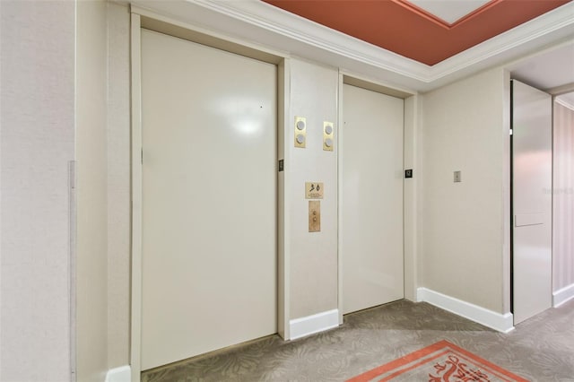 carpeted foyer with baseboards, crown molding, and elevator