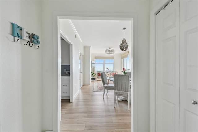 750 N Tamiami Trl Unit 1203, Sarasota, FL 34236 - photo 7