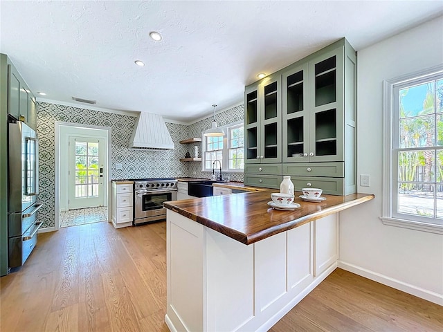 kitchen with custom exhaust hood, premium appliances, a peninsula, a healthy amount of sunlight, and light wood-style flooring
