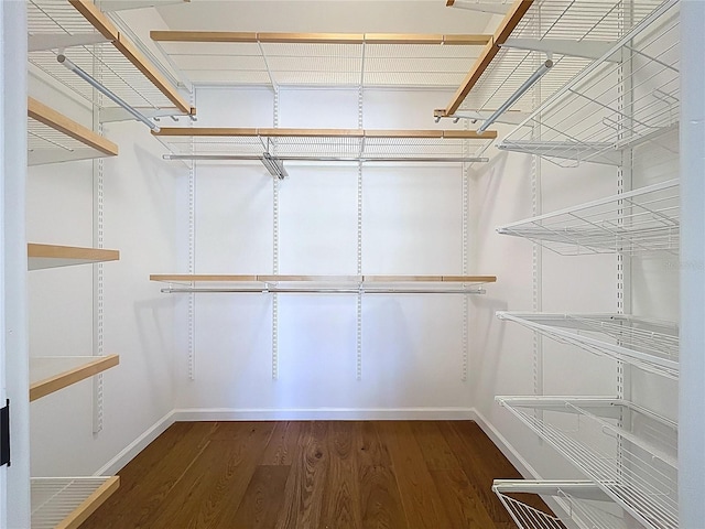 walk in closet with dark wood-style floors