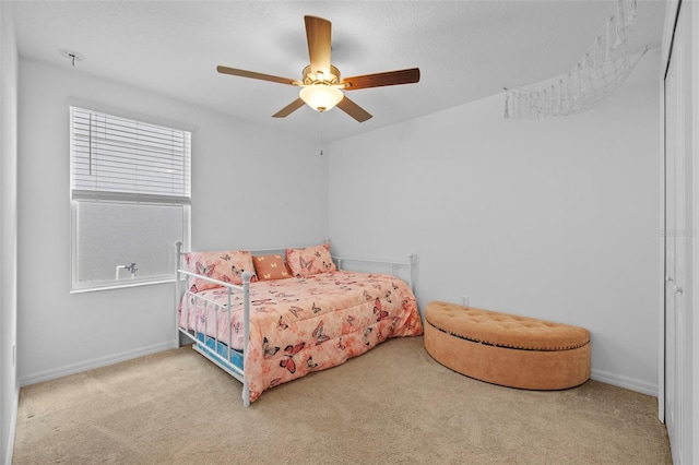 5554 Blue Azure Dr, Wimauma, FL 33598 - photo 23