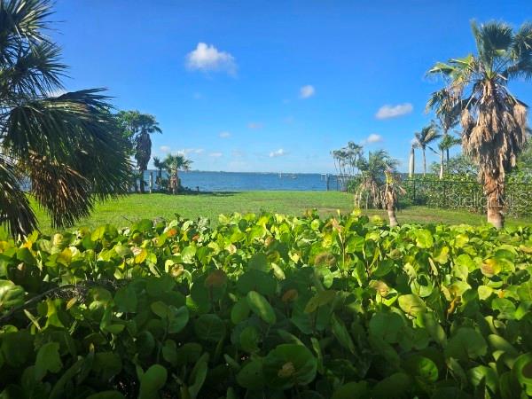 285 Horseshoe Loop Rd, Terra Ceia, FL 34250 - photo 12