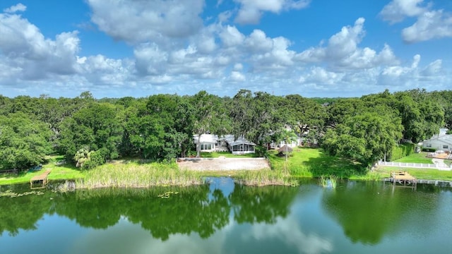 3610 Pershing Ave, Orlando, FL 32812 - water view with a heavily wooded area