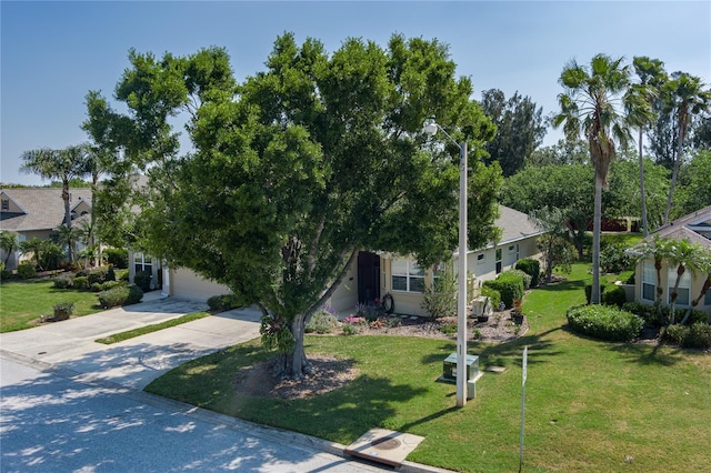 3312 92nd Ave E, Parrish, FL 34219 - view of property hidden behind natural elements featuring concrete driveway and a front yard