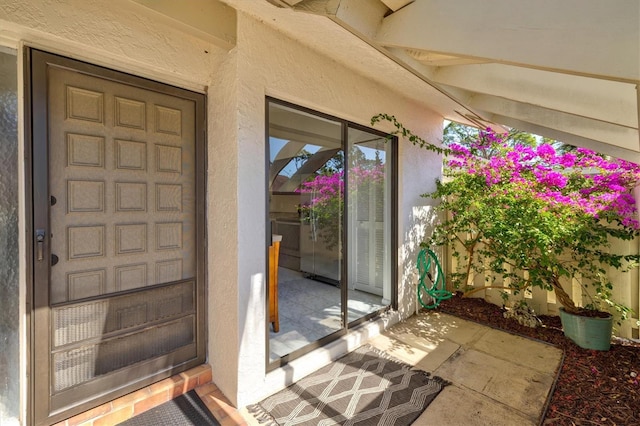 view of exterior entry with a patio and stucco siding