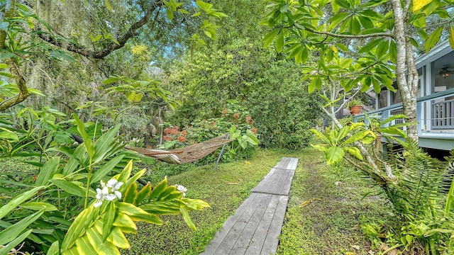 view of yard