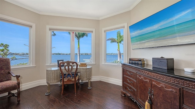 interior space featuring baseboards, ornamental molding, and dark wood-style floors