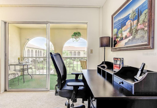 home office featuring carpet flooring