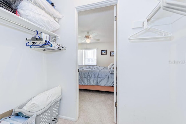 spacious closet with carpet and a ceiling fan