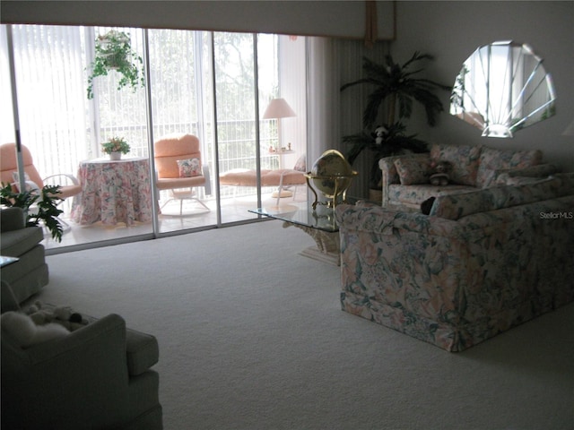 living area featuring a healthy amount of sunlight and carpet