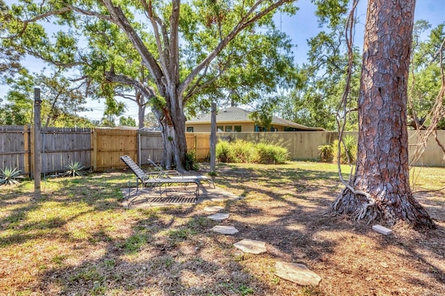 view of yard with a fenced backyard