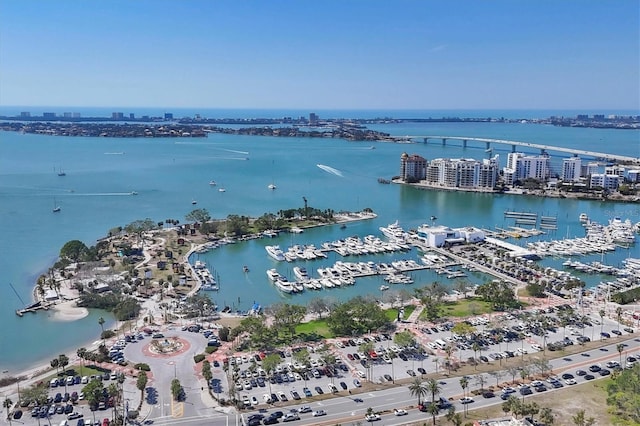 birds eye view of property with a city view and a water view