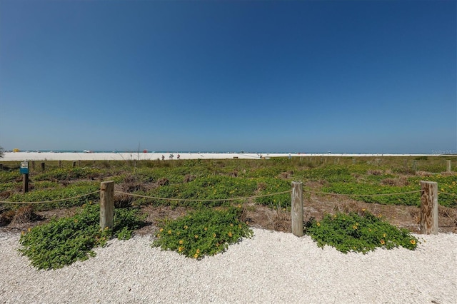 view of yard featuring a beach view and a water view