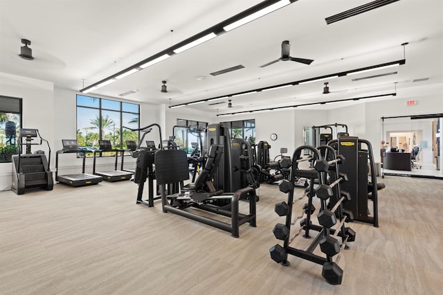 11611 Roseto Ct, Fort Myers, FL 33913 - gym with light colored carpet, plenty of natural light, and a ceiling fan