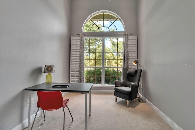 3738 Eagle Hammock Dr, Sarasota, FL 34240 - carpeted home office with baseboards