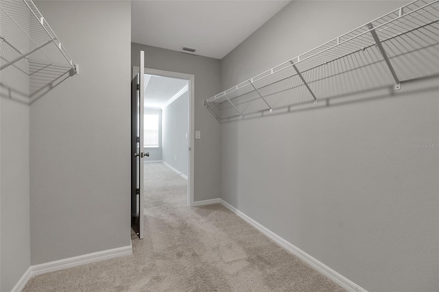 8346 Abalone Loop, Parrish, FL 34219 - photo 48