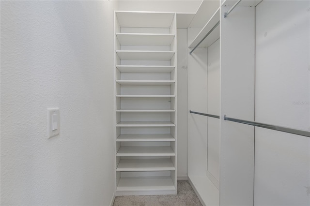 spacious closet with carpet