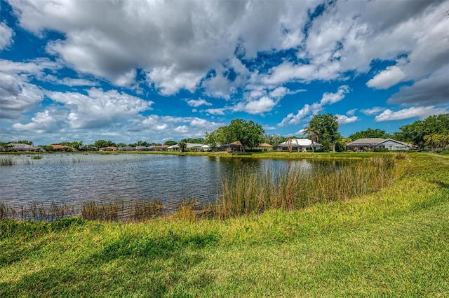 410 Wellington, Venice, FL 34292 - photo 60