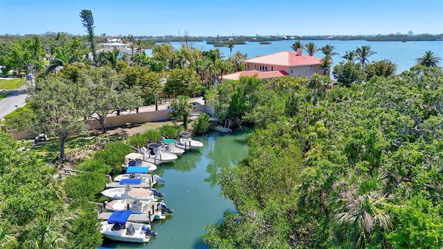 519 Bayview Ave, Osprey, FL 34229 - bird's eye view of a large body of water and a tree filled landscape