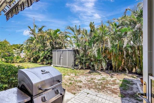 519 Bayview Ave, Osprey, FL 34229 - view of yard