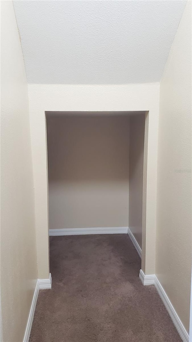 215 63rd Dr E, Bradenton, FL 34203 - hallway featuring dark colored carpet
