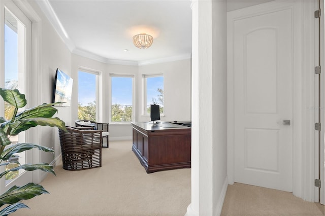 7118 Hawks Harbor Cir, Bradenton, FL 34207 - home office featuring crown molding, baseboards, and light colored carpet