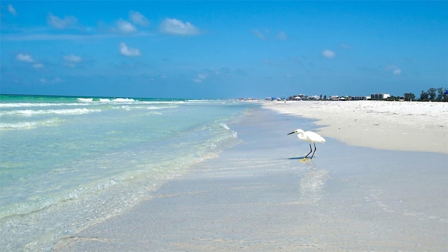 5920 Midnight Pass Rd Unit 406, Sarasota, FL 34242 - water view with local beach