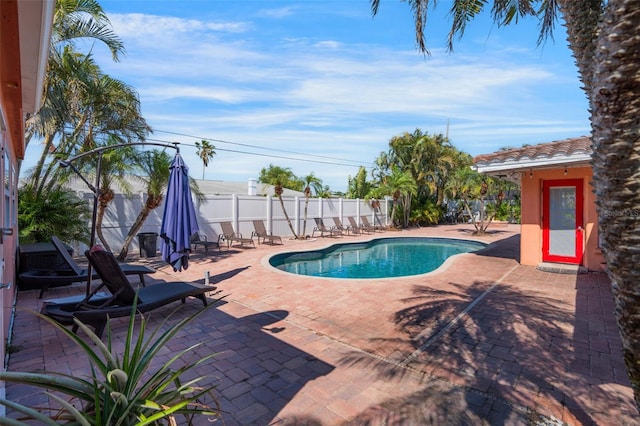 view of pool featuring a fenced in pool, a fenced backyard, and a patio