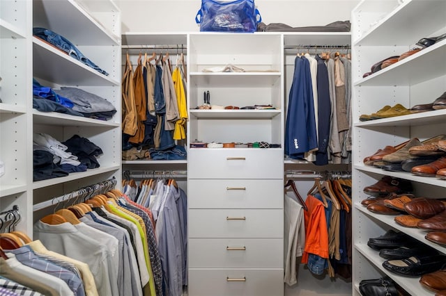view of spacious closet