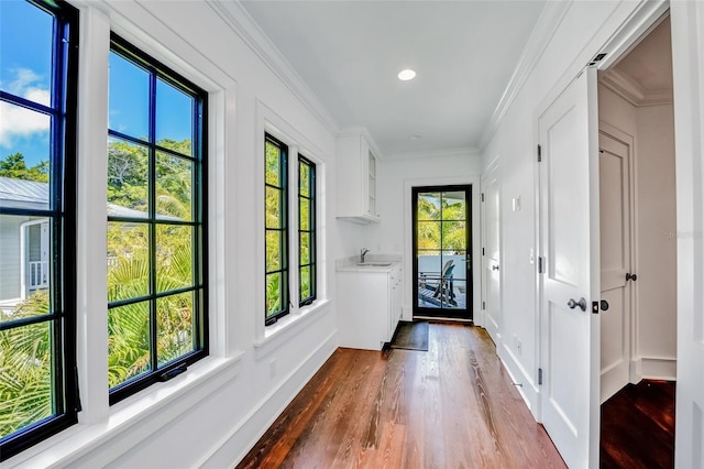 103 Park Ave, Anna Maria, FL 34216 - doorway to outside featuring a sink, dark wood finished floors, baseboards, ornamental molding, and recessed lighting