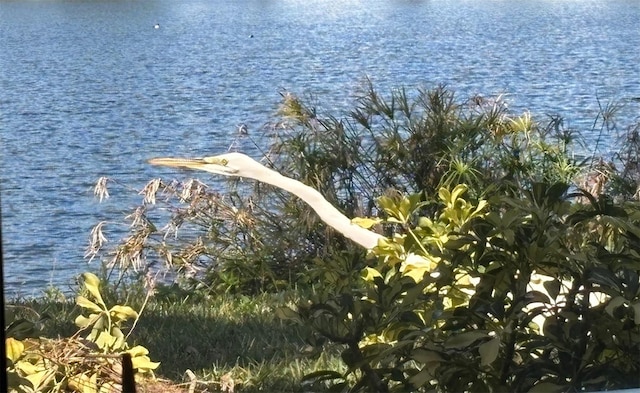 property view of water