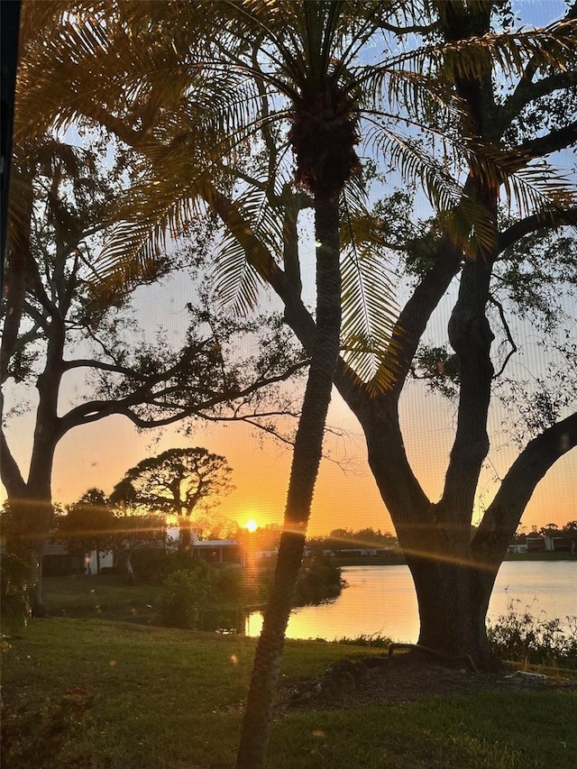 property view of water