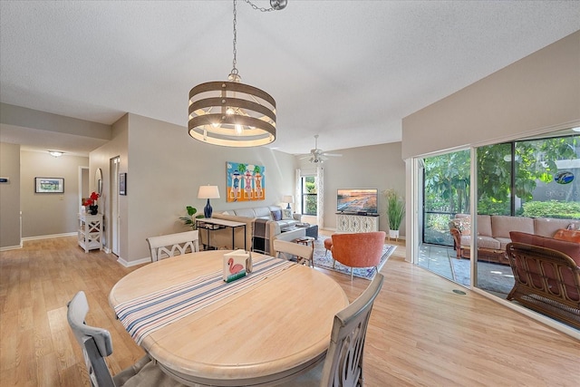 1612 Starling Dr Unit 101, Sarasota, FL 34231 - dining room with light wood-style floors, a healthy amount of sunlight, ceiling fan with notable chandelier, and baseboards