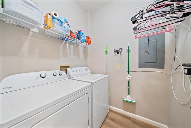 1612 Starling Dr Unit 101, Sarasota, FL 34231 - clothes washing area featuring laundry area, light wood-style flooring, separate washer and dryer, electric panel, and baseboards