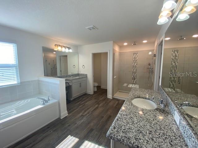1142 Blarney St, Minneola, FL 34715 - bathroom with two vanities, a stall shower, a bath, a sink, and wood finished floors