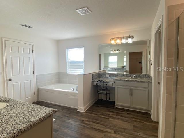 1142 Blarney St, Minneola, FL 34715 - full bathroom featuring two vanities, visible vents, a garden tub, and wood finished floors