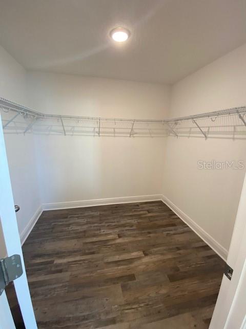 1142 Blarney St, Minneola, FL 34715 - spacious closet featuring wood finished floors