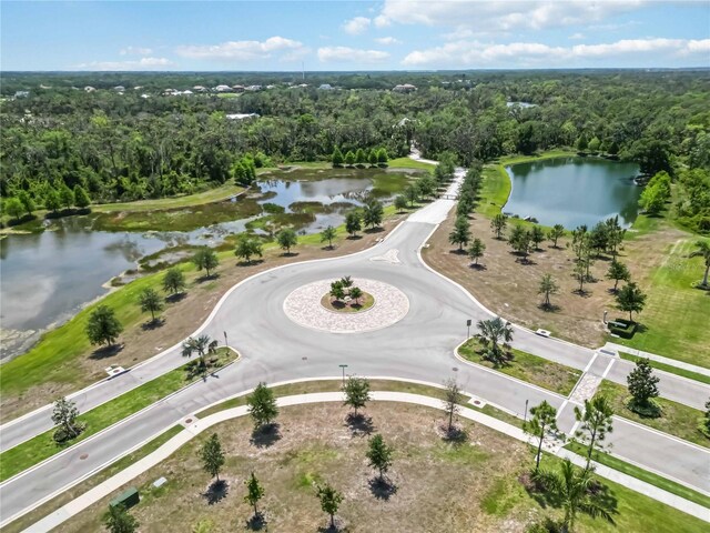 drone / aerial view featuring a water view and a view of trees