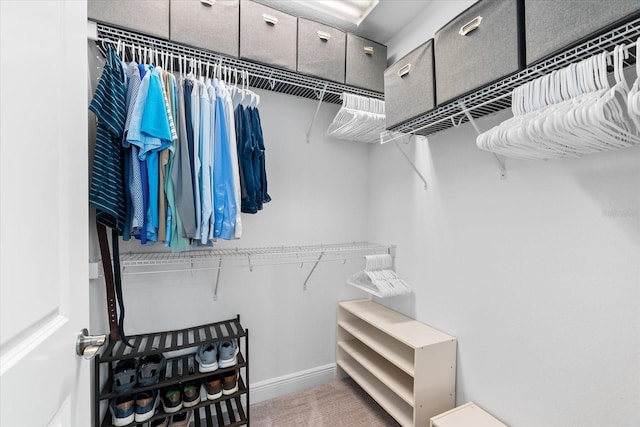 view of walk in closet