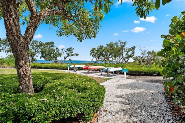 view of community featuring a water view and a lawn