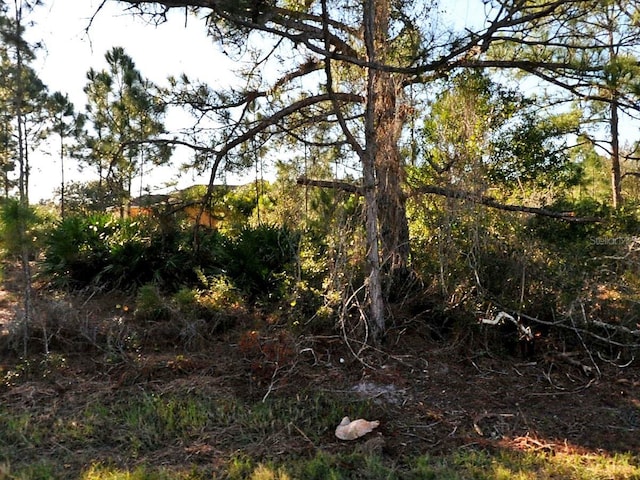 Schoen St, North Port, FL 34291