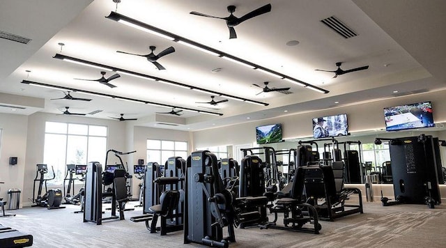 exercise room with ceiling fan, carpet, and visible vents