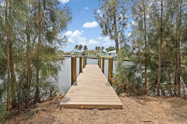 891 Palmetto Dr NE, Port Charlotte, FL 33952 - photo 2